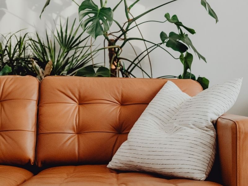 Wayfinder Therapy in Illinois
